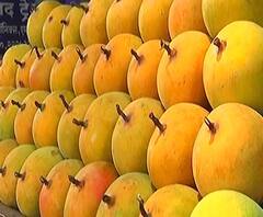 Coronavirus | नवी मुंबईच्या APMC Marketमधील व्यापाऱ्याला कोरोनाची बाधा