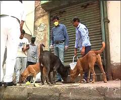 করোনা লকডাউন: সঙ্কটাপন্নদের দিকে সাহায্যের হাত 