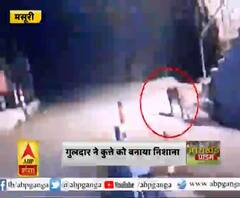 सड़क पर गुलदार की आहट