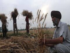 देश के 6 राज्यों में आज से अनाज की खरीदी शुरू, देखिए Ground Report