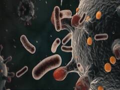 Covid-19 cases reach near 30,000 in India | Audio Bulletin