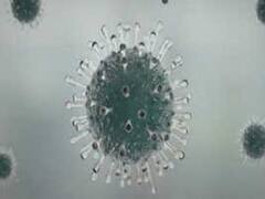 भारत में Coronavirus बढ़ने की दर 3 से 5 फीसदी के आसपास