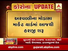 અરવલ્લીના મોડાસા માર્કેટિંગ યાર્ડમાં આજથી હરાજી શરૂ,જુઓ વીડિયો