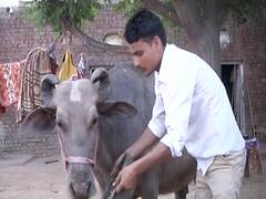 अपने ड्राइंग-रूम में बैठकर कोरोना को हराने का संकल्प गांव से सीखिए ! | Ghanti Bajao