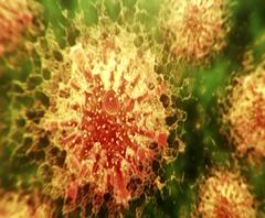 Coronavirus | Wockhardt रुग्णालयातील अजून 26 कर्मचारी कोरोनाग्रस्त; एकूण 52 कर्मचाऱ्यांना कोरोनाची लागण