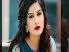 Punjabi Singer Kaur B had curfew pass or not? 
