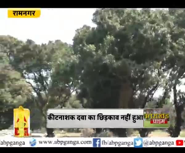 ABP News ABP News