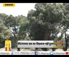 किसानों पर कोरोना की मार,आम-लीची की फसल को नुकसान
