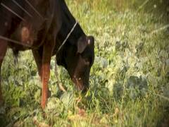 Farmers worried about earnings amid lockdown in the nation | Ghanti Bajao