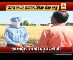 ਮੀਂਹ ਨਾਲ 'ਕਣਕ ਦਾ ਨੁਕਸਾਨ ਘੱਟ , ਝਾੜ ਚੰਗਾ'