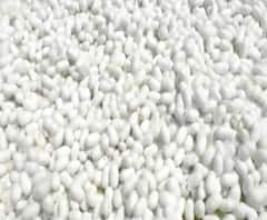 Coronavrius | परभणीत रोशीम कोष खरेदी बंद, शेतकरी अडचणीत