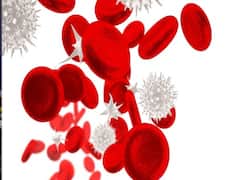 ब्लड प्लाज्मा से कोरोना के इलाज का ट्रायल शुरू, जानिए ये कितना होगा कारगर