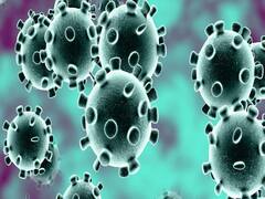 Only 6% rise in COVID-19 cases in last 24 hours