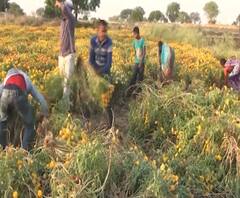 Corona Ground Report | तुमच्या गावावर कोरोनाचा इफेक्ट? जिल्ह्यातील कोरोनाचा ग्राऊंड रिपोर्ट!