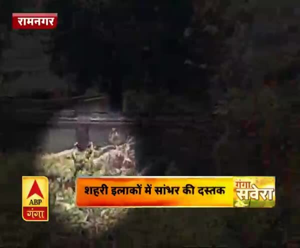 ABP News ABP News