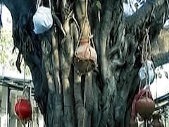 श्मशान घाट पर अस्थियों को रखने के लिए मिला लॉकर | ABP News Impact