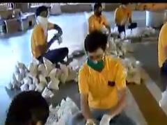 અમદાવાદ લોકડાઉનઃ અમદાવાદના કાલુપુર સ્વામીનારાયણ મંદિરે જરૂરિયાતમંદો માટે બનાવ્યા ફૂડ પેકેટ