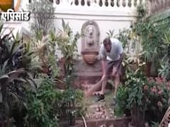 Archana Puran Singh's husband cleans garden