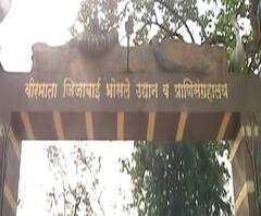 Mumbai Animal Care | भायखळ्याच्या राणीच्या बागेत अलर्ट, कशाप्रकारे घेतली जातेय प्राण्यांची काळजी? 