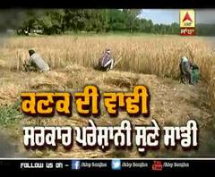 ਕਣਕ ਦੀ ਵਾਢੀ,ਸਰਕਾਰ ਪਰੇਸ਼ਾਨੀ ਸੁਣੇ ਸਾਡੀ