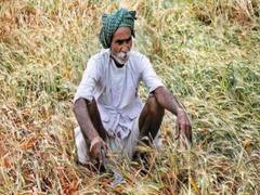 कोरोना, लॉकडाउन के बाद किसानों पर पड़ी बेमौसम बारिश की मार