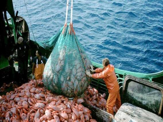 માછીમારો માટે મોટા સમાચાર, લોકડાઉન વચ્ચે માછીમારોને દરિયામાં જવાની અપાઈ છૂટ