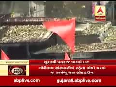 સુરતનો રાંદેર વિસ્તાર માસ ક્વોરોન્ટાઇન, લગાવાયા લાલ ઝંડા, જુઓ વીડિયો