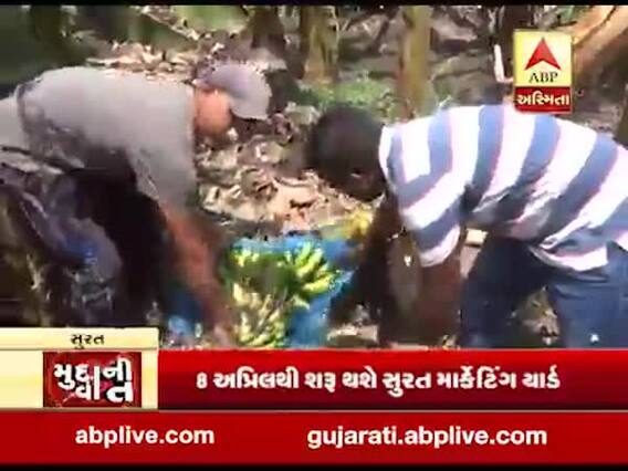ગુજરાત લોકડાઉનઃ કેળા પકવતા ખેડૂતો મુશ્કેલીમાં , જુઓ સુરતથી ખાસ અહેવાલ 