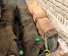 Alcohol Selling in Lockdown | अकोल्याच्या दानापूरमध्ये लॉकडाऊन असूनही गावठी दारुची खुलेआम विक्री