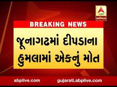 જૂનાગઢઃ ગીરનાર પર્વત પર યુવક પર દીપડાએ હુમલો કરતાં થયું મોત