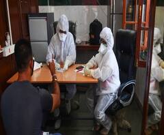 গবেষণায় বাদুড়ের দু’টি প্রজাতির মধ্যেও মিলেছে করোনা ভাইরাসের অস্তিত্ব 