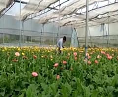 Rural News | माझं गाव माझा जिल्हा | राज्याच्या कानाकोपऱ्यातील बातम्यांचा आढावा 