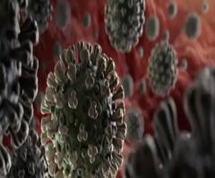 গত ২৪ ঘণ্টায় মৃত্যু ৩১ জনের, একদিনে আক্রান্ত প্রায় ১,২০০, জানাল স্বাস্থ্যমন্ত্রক