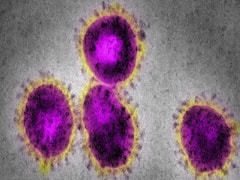 कोरोना: ब्रिटेन में खेती के लिए प्लेन से लाए जा रहे रोमानिया के मजदूर