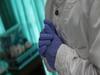 Watch this report if you bought gloves to remain uninfected