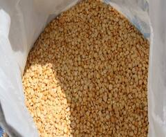 রাজ্যের রেশন ব্যবস্থা পুরোপুরি ভেঙে পড়েছে, খাদ্যমন্ত্রীর পদত্যাগ করা উচিত, দাবি রাহুল সিনহার, পাল্টা আক্রমণ জ্যোতিপ্রিয় মল্লিকের