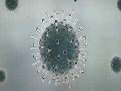 Corona in Delhi: 3 deaths in past 24 hours