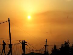 बिहार: लोगों की सुविधा के लिए बिजली विभाग के कर्मचारी से लेकर जीएम तक दिन-रात कर रहे काम