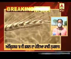 Breaking :ਪੰਜਾਬ 'ਚ ਪਏ ਭਾਰੀ ਮੀਂਹ ਨੇ ਪੱਕੀ ਕਣਕ ਨੂੰ ਪਹੁੰਚਾਇਆ ਨੁਕਸਾਨ