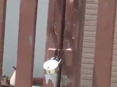 મહેસાણામાં સસ્તા અનાજની દુકાનોએ અનાજ વિતરણ કર્યું બંધ, જુઓ વીડિયો