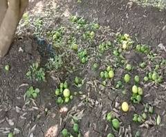 Rural News | माझं गाव माझा जिल्हा | गावाकडच्या बातम्यांचा वेगवान आढावा | 1st April 2020