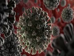 कोरोना से लड़ने के लिए भारत के 4 खास 'हथियार' कितने कारगर ? देखिए ये चर्चा | संविधान की शपथ