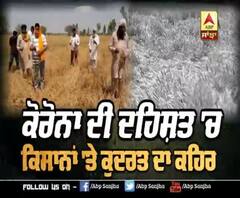 ਕਿਸਾਨਾਂ 'ਤੇ ਕੋਰੋਨਾ ਤੇ ਕੁਦਰਤ ਦਾ ਕਹਿਰ