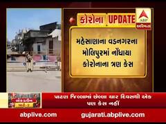 મહેસાણાના વડનગરના મોલિપુરમાં નોંધાયા કોરોનાના ત્રણ કેસ, જુઓ વીડિયો 