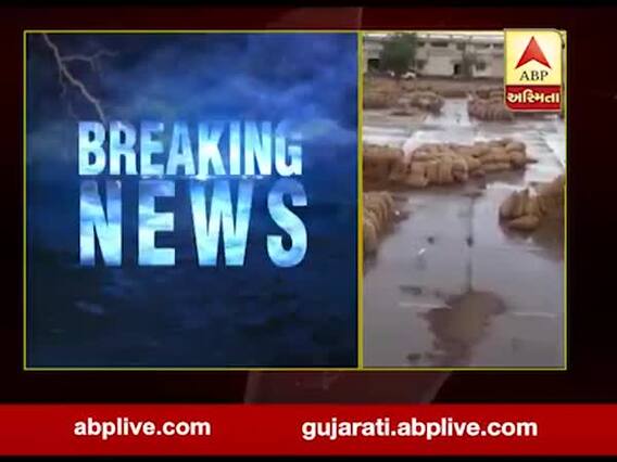 રાજકોટ: કમોસમી વરસાદથી ગોંડલ યાર્ડમાં મગફળી સહિતનો પાક પલળી ગયો, જુઓ વીડિયો 