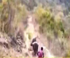 লকডাউনের মধ্যে পাহাড় কেটে রাস্তা নির্মাণ নৈনিতালে