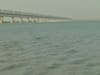 Yamuna cleaner due to lockdown? | ABP Special