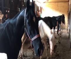 Majha 20-20 | दुपारपर्यंतच्या सर्व घडामोडींचा वेगवान आढावा | माझा 20-20 