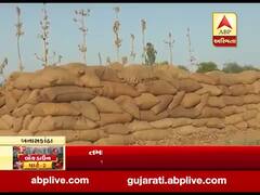 બનાસકાંઠા: તમાકુના તૈયાર પાકની ખરીદી ન કરતા ખેડૂતો કરી રહ્યા છે ઘરમાં સંગ્રહ, જુઓ વીડિયો