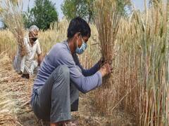 Lockdown-2: ग्रामीण इलाकों में कुछ और सेवाओं में दी जाएगी छूट